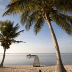 Islas Caimán: Tres Islas, Un Destino