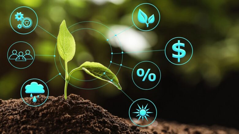 AgroEmprende Digital convoca a pequeños productores para formarlos en marketing digital y negocios verdes
