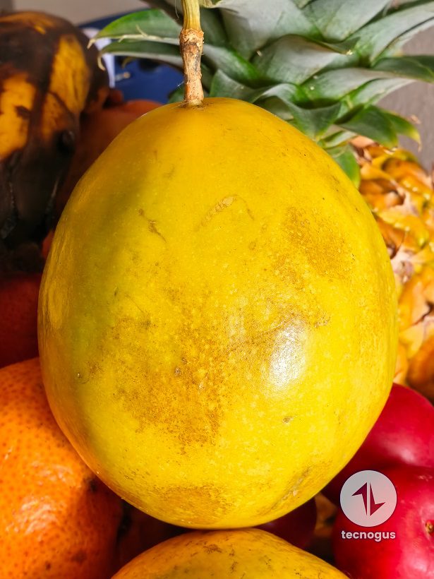 Fotografía Tomada con el Huawei Pura 70 Ultra