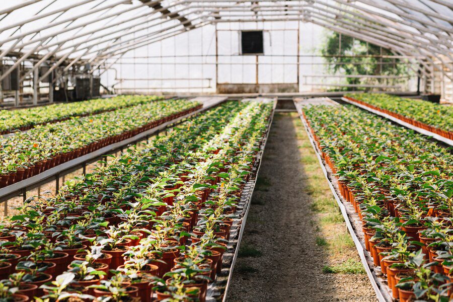 Agricultura 4.0: escalabilidad sustentable en entornos digitalizados