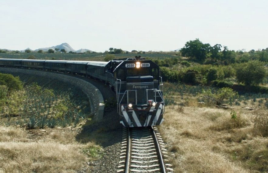 El icónico tren Tequila Express regresa para volver a recorrer las rutas de Jalisco