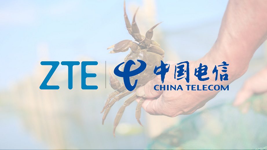 China Telecom y ZTE implementan con éxito la solución DRS de clúster 5G-A, que brinda conectividad sin inconvenientes al lago Yangcheng de Suzhou