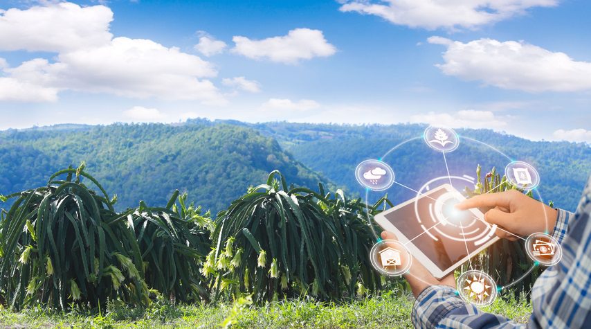Paipa Inteligente: transformación digital para el desarrollo sostenible