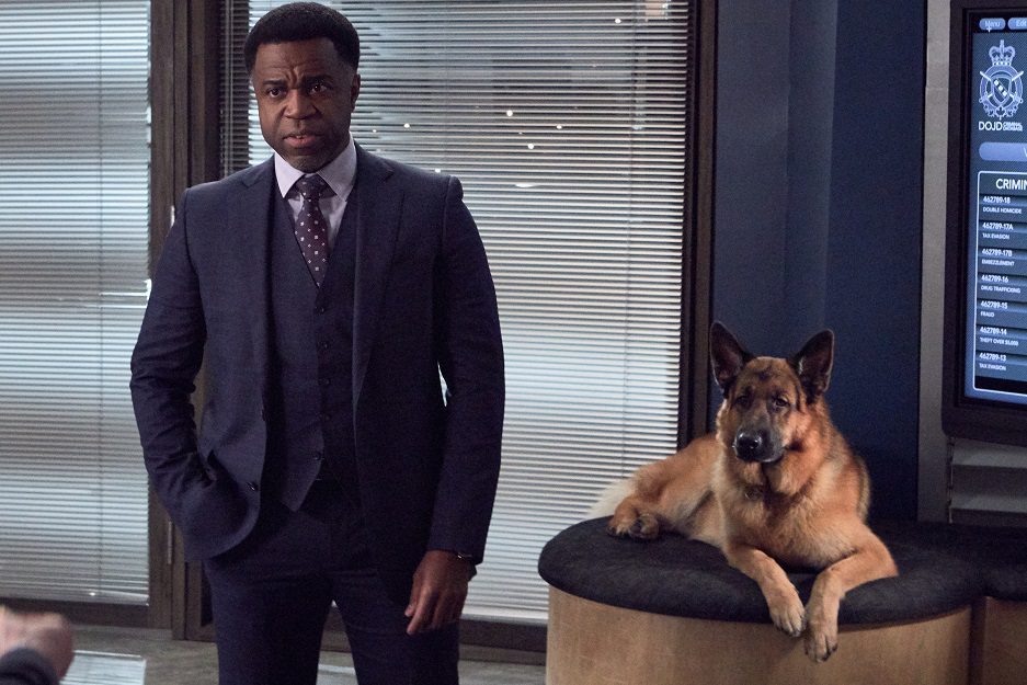 AXN estrena segunda temporada de Hudson & Rex