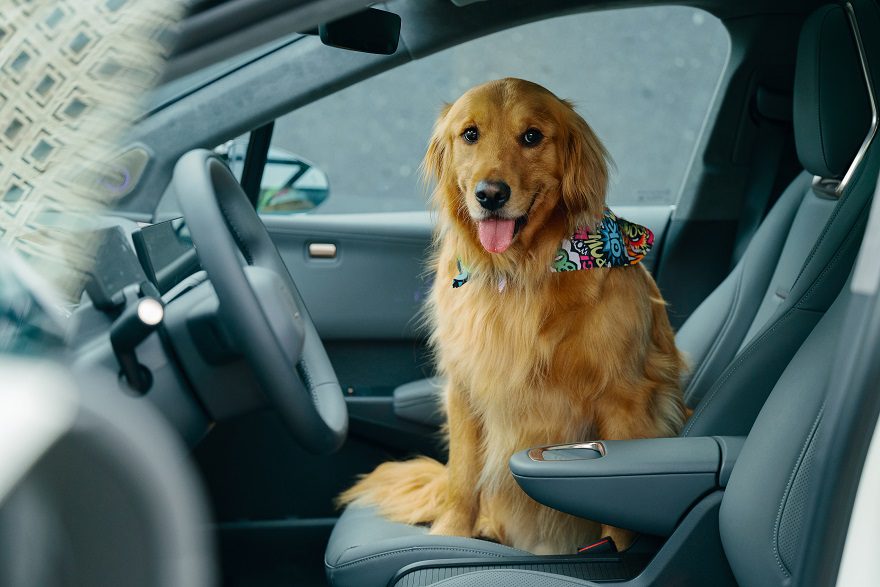 Zeekr: la marca de carros en Colombia que cuida a las mascotas