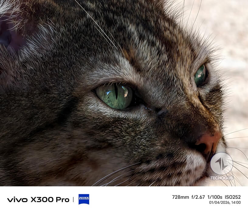 Fotografía tomada con el vivo X300 Pro