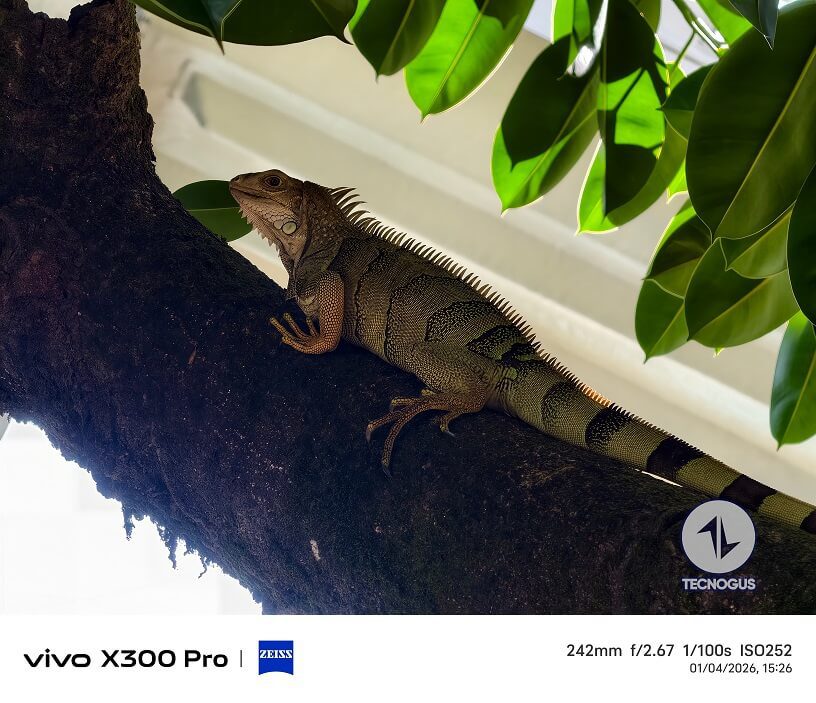 Fotografía tomada con el vivo X300 Pro