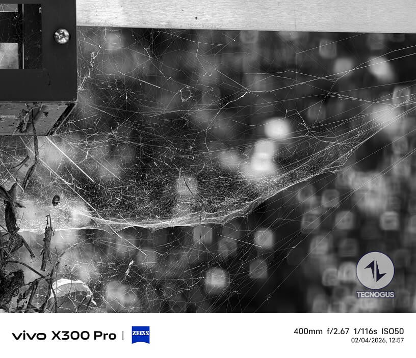 Fotografía tomada con el vivo X300 Pro