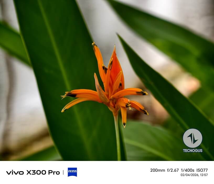 Fotografía tomada con el vivo X300 Pro