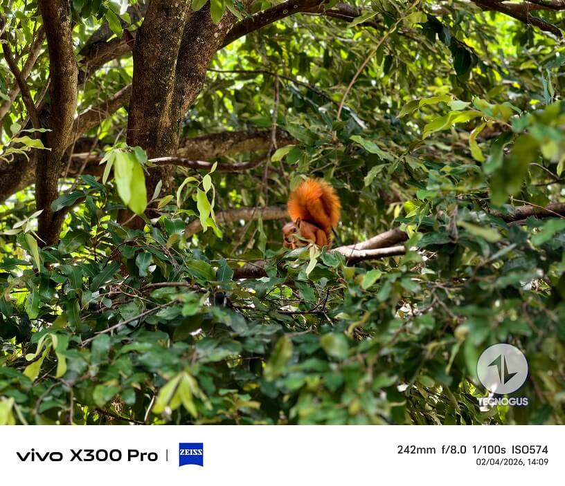 Fotografía tomada con el vivo X300 Pro