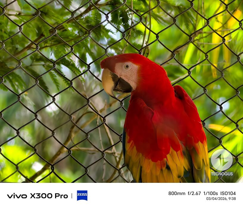 Fotografía tomada con el vivo X300 Pro