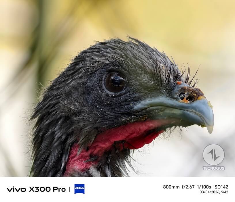 Fotografía tomada con el vivo X300 Pro