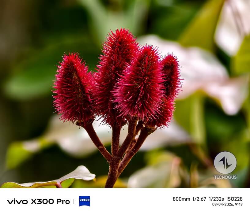 Fotografía tomada con el vivo X300 Pro