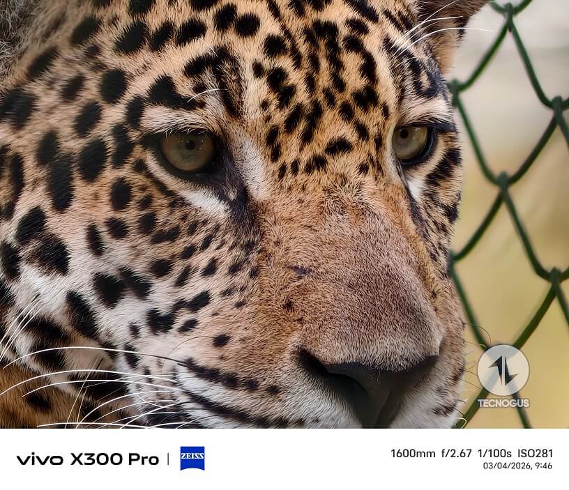 Fotografía tomada con el vivo X300 Pro