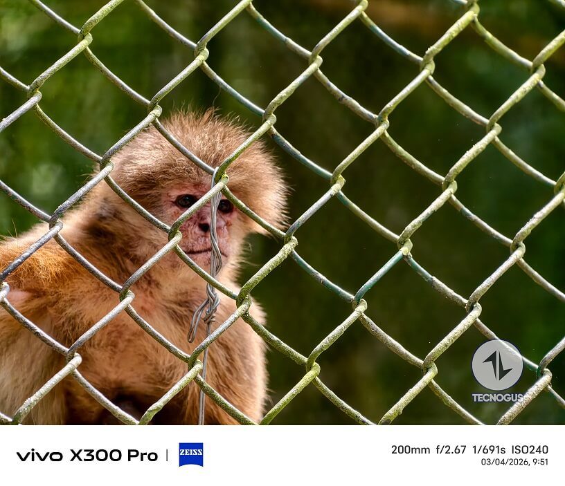 Fotografía tomada con el vivo X300 Pro