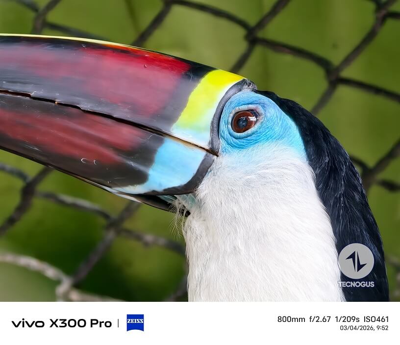Fotografía tomada con el vivo X300 Pro