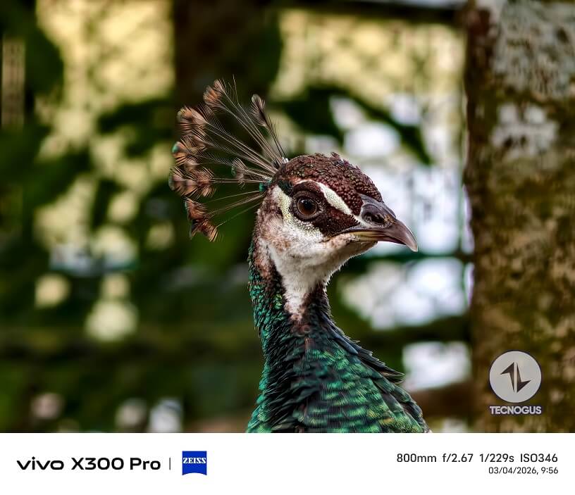 Fotografía tomada con el vivo X300 Pro