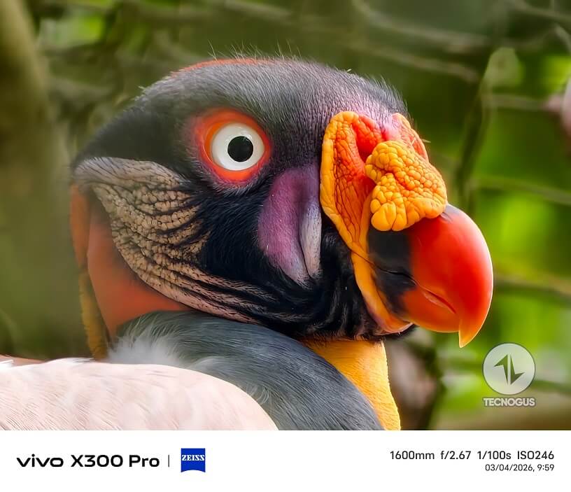 Fotografía tomada con el vivo X300 Pro