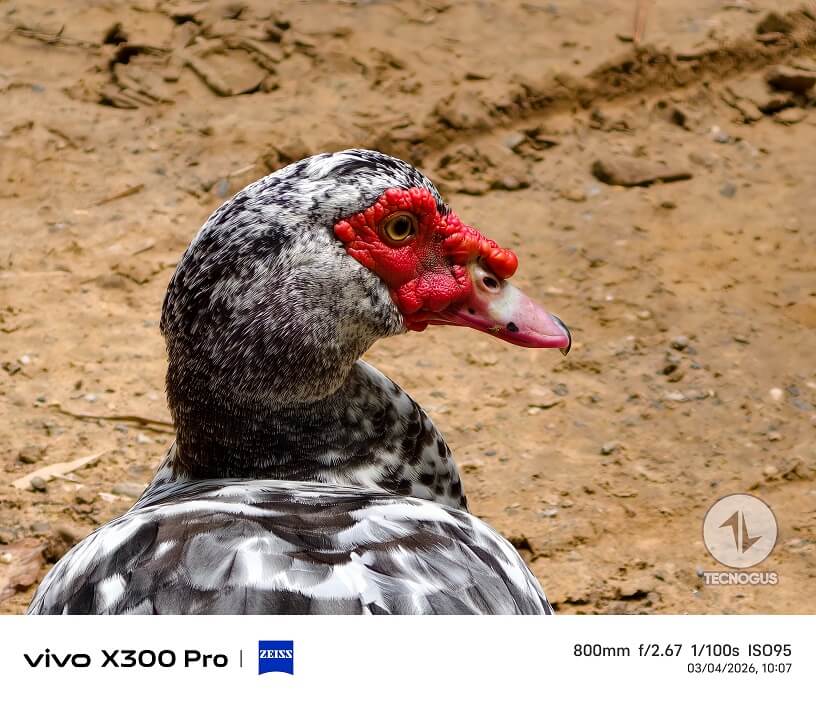 Fotografía tomada con el vivo X300 Pro