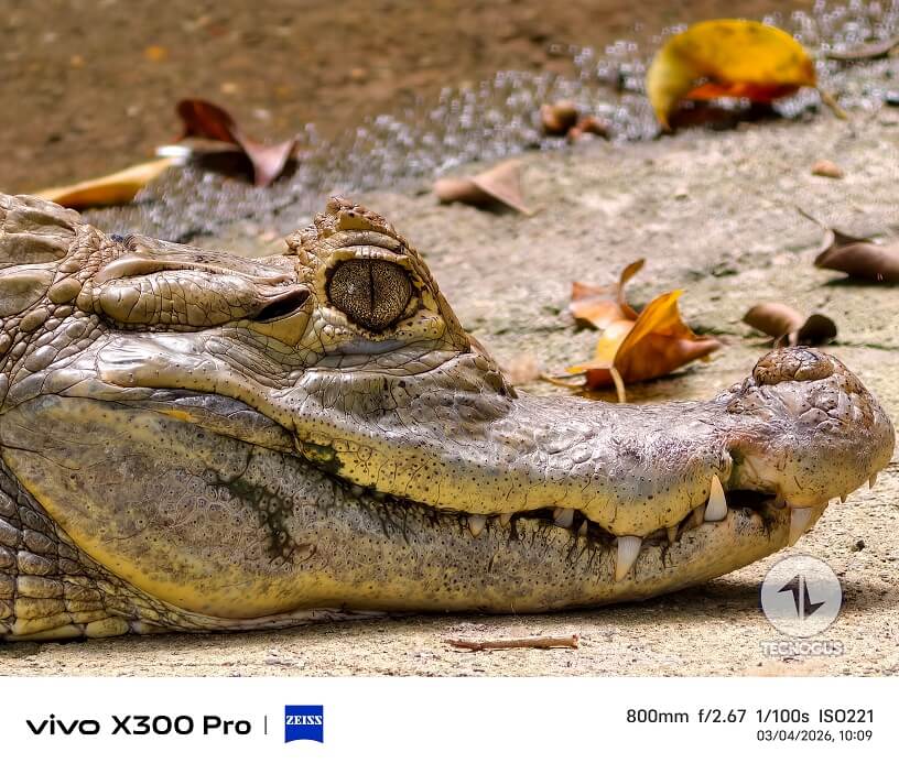 Fotografía tomada con el vivo X300 Pro