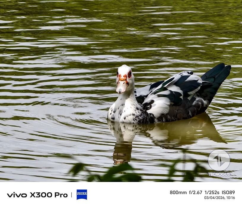 Fotografía tomada con el vivo X300 Pro