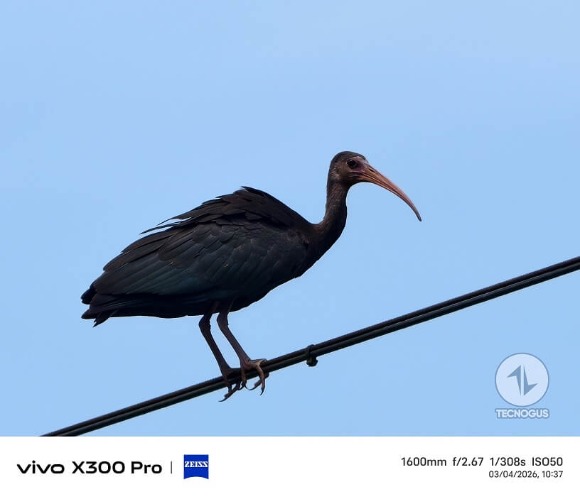 Fotografía tomada con el vivo X300 Pro