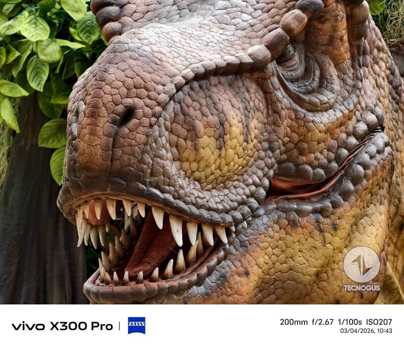 Fotografía tomada con el vivo X300 Pro
