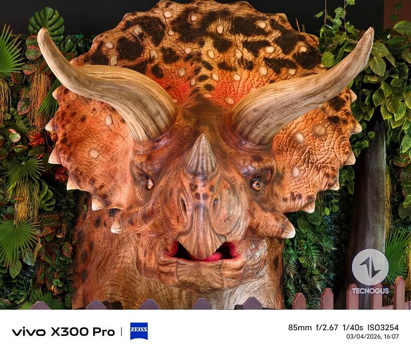 Fotografía tomada con el vivo X300 Pro