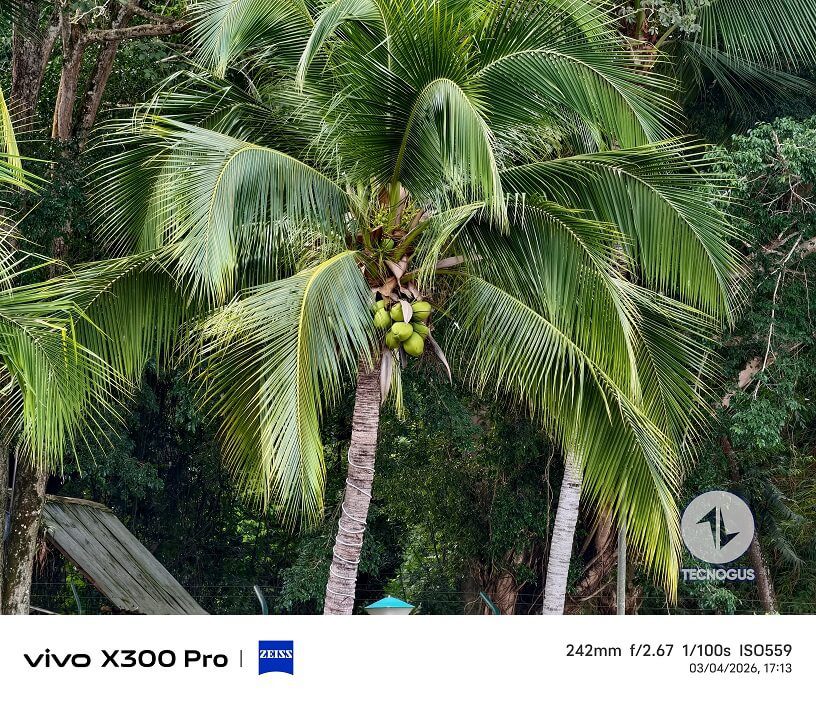 Fotografía tomada con el vivo X300 Pro