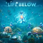Life Below anuncia un paquete benéfico junto a WDC para proteger la vida marina