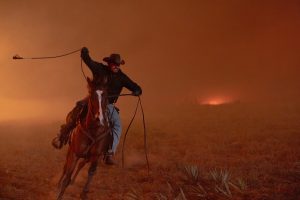 Estreno de Rancho Dutton rompe récords de audiencia en Paramount+