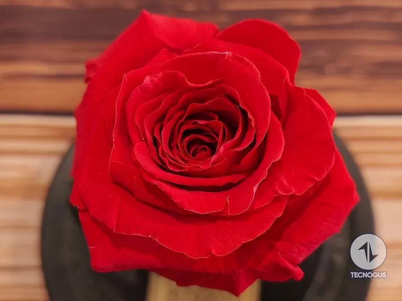 Evaluación fotográfica Xiaomi 17T Pro