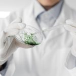 El proyecto AlgaeVision automatiza el recuento de microalgas con inteligencia artificial