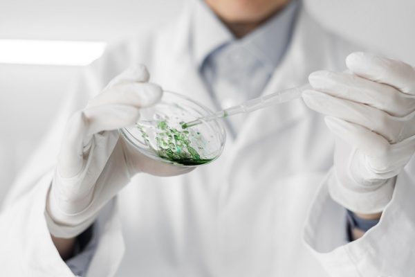 El proyecto AlgaeVision automatiza el recuento de microalgas con inteligencia artificial